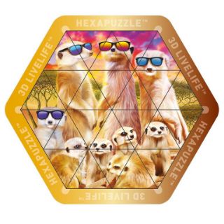Obrázek z Hexapuzzle magnetické 17x15cm - surikaty (6) 